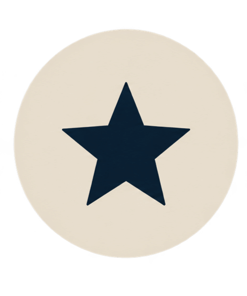 SkyLink Icon Atlanta Personalized Service
